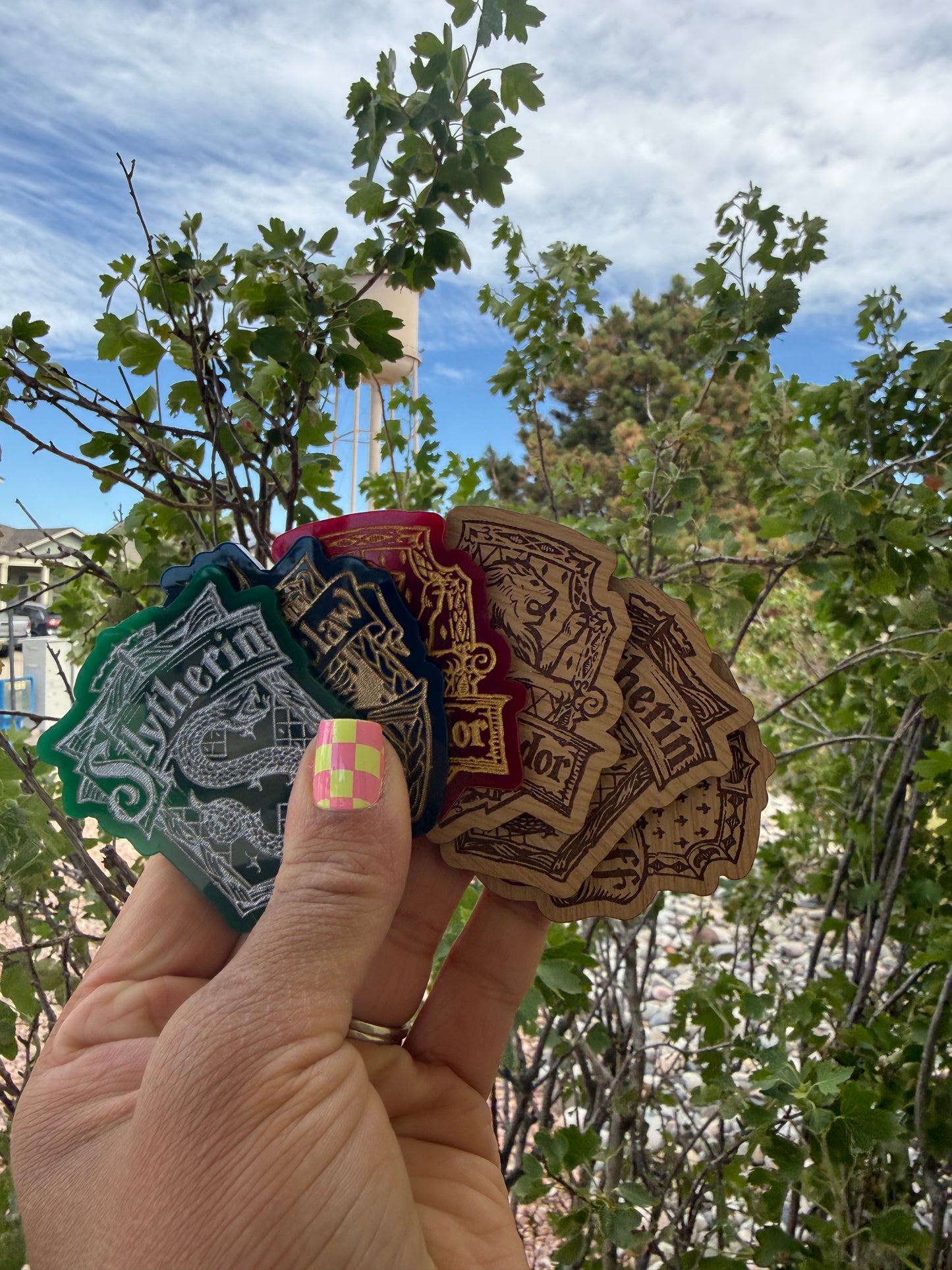 Wizarding World Houses