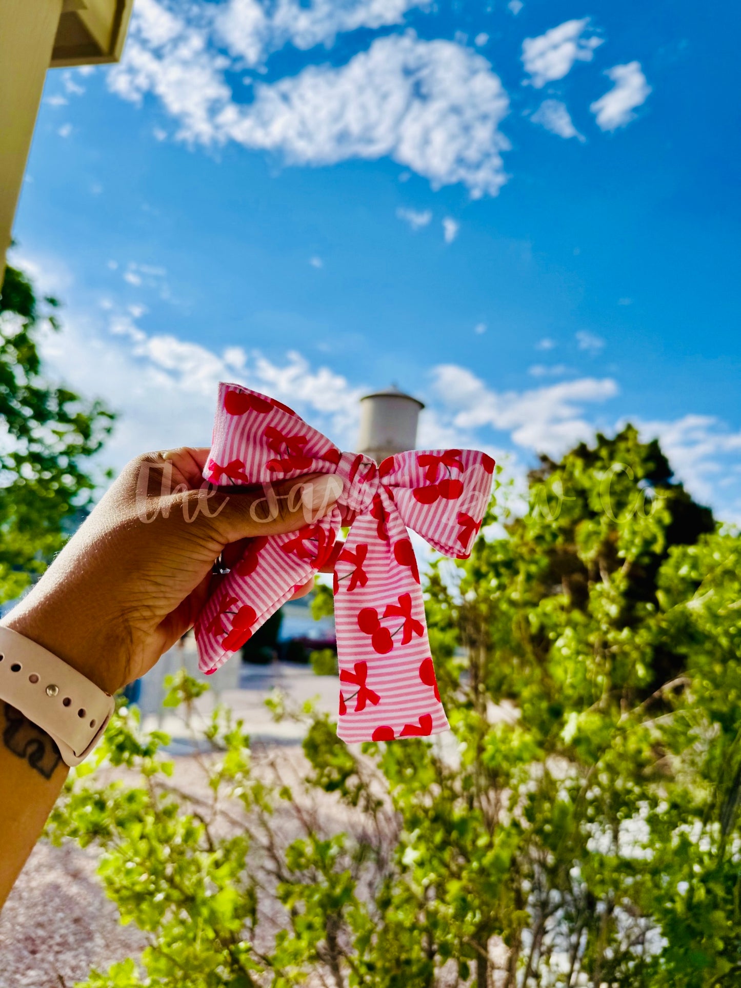 Cherry on Top (long tailed Amelia bow)
