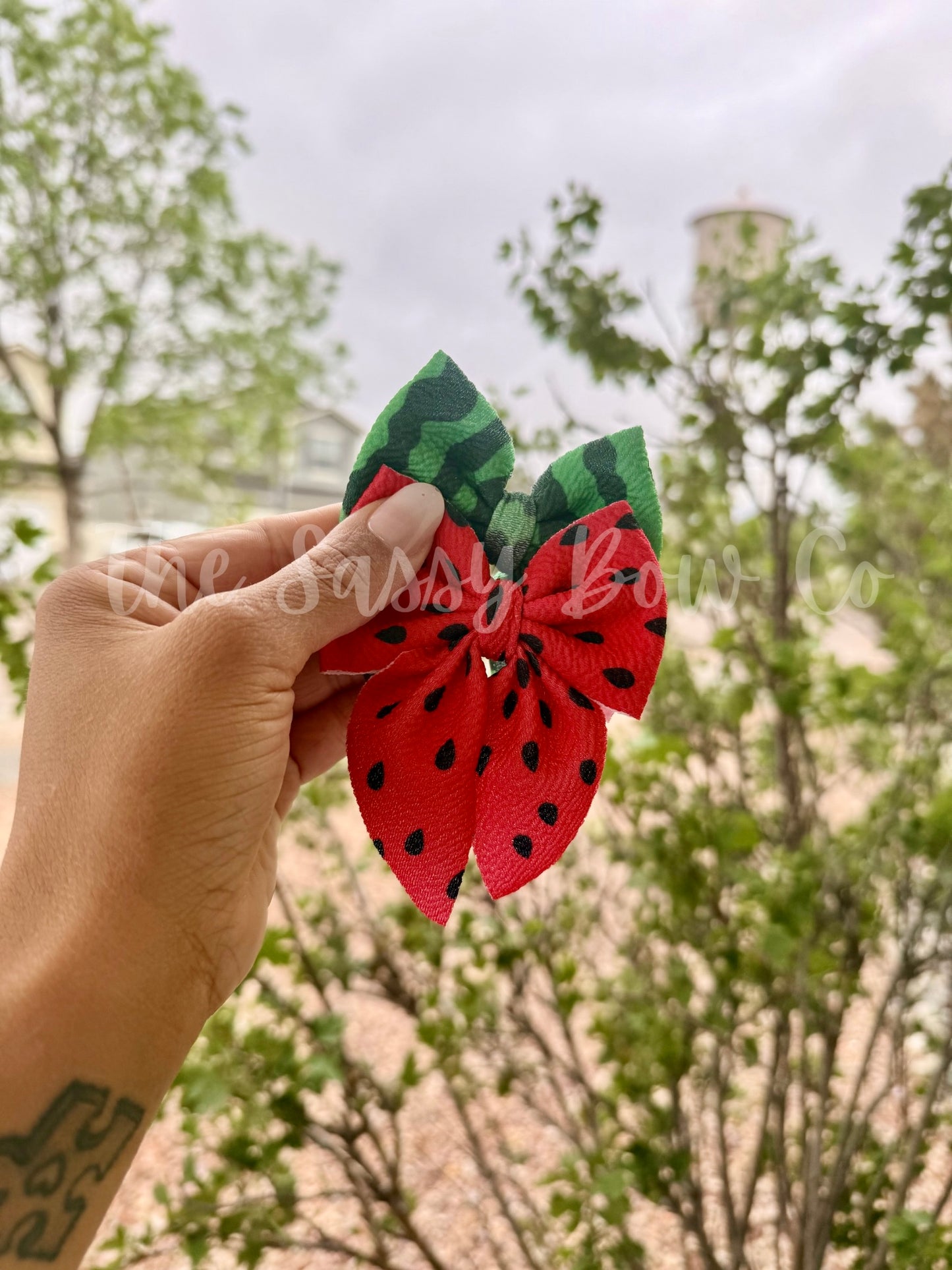 Watermelon Sailor Piggies