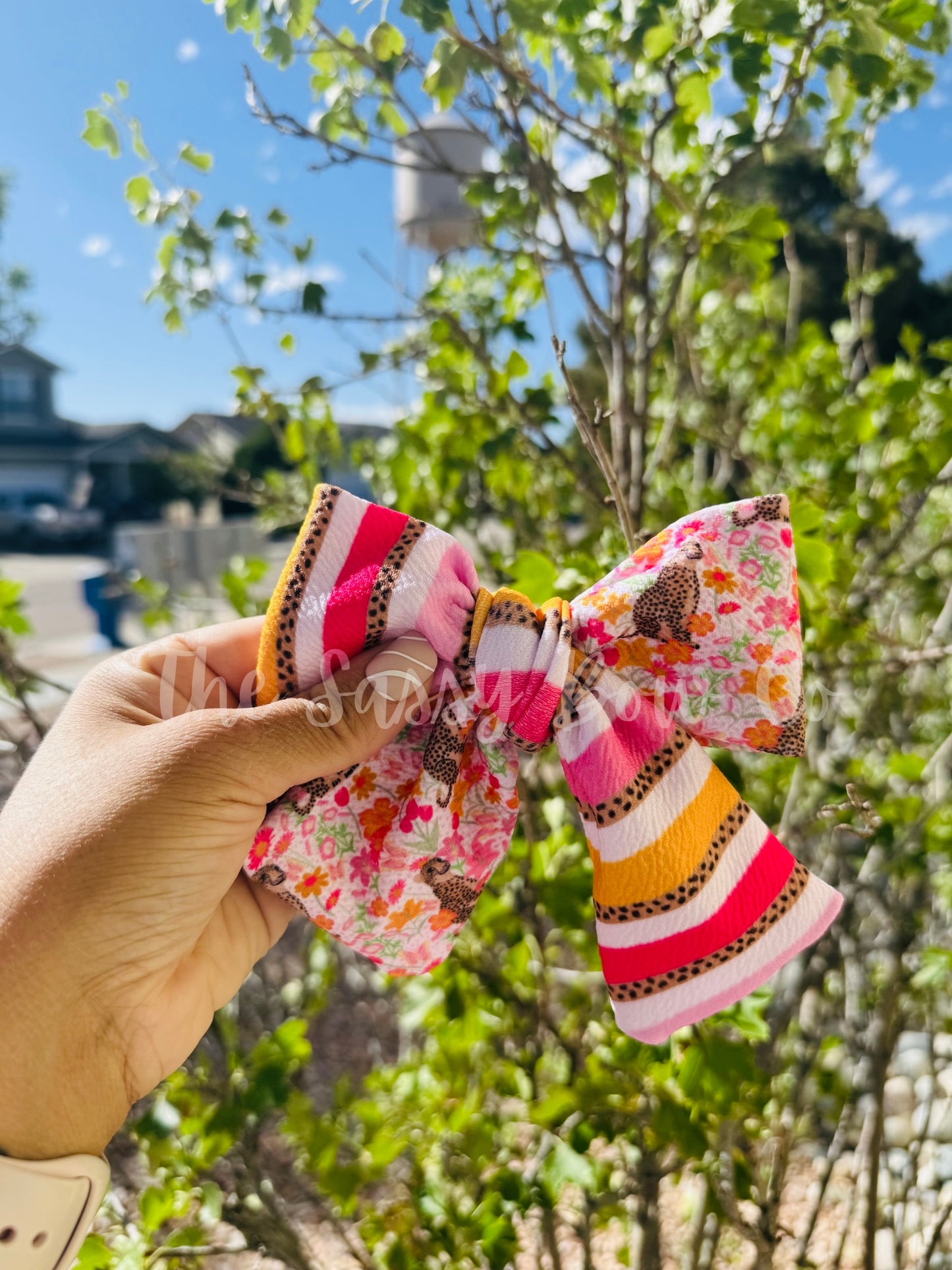 Spotted in Bloom