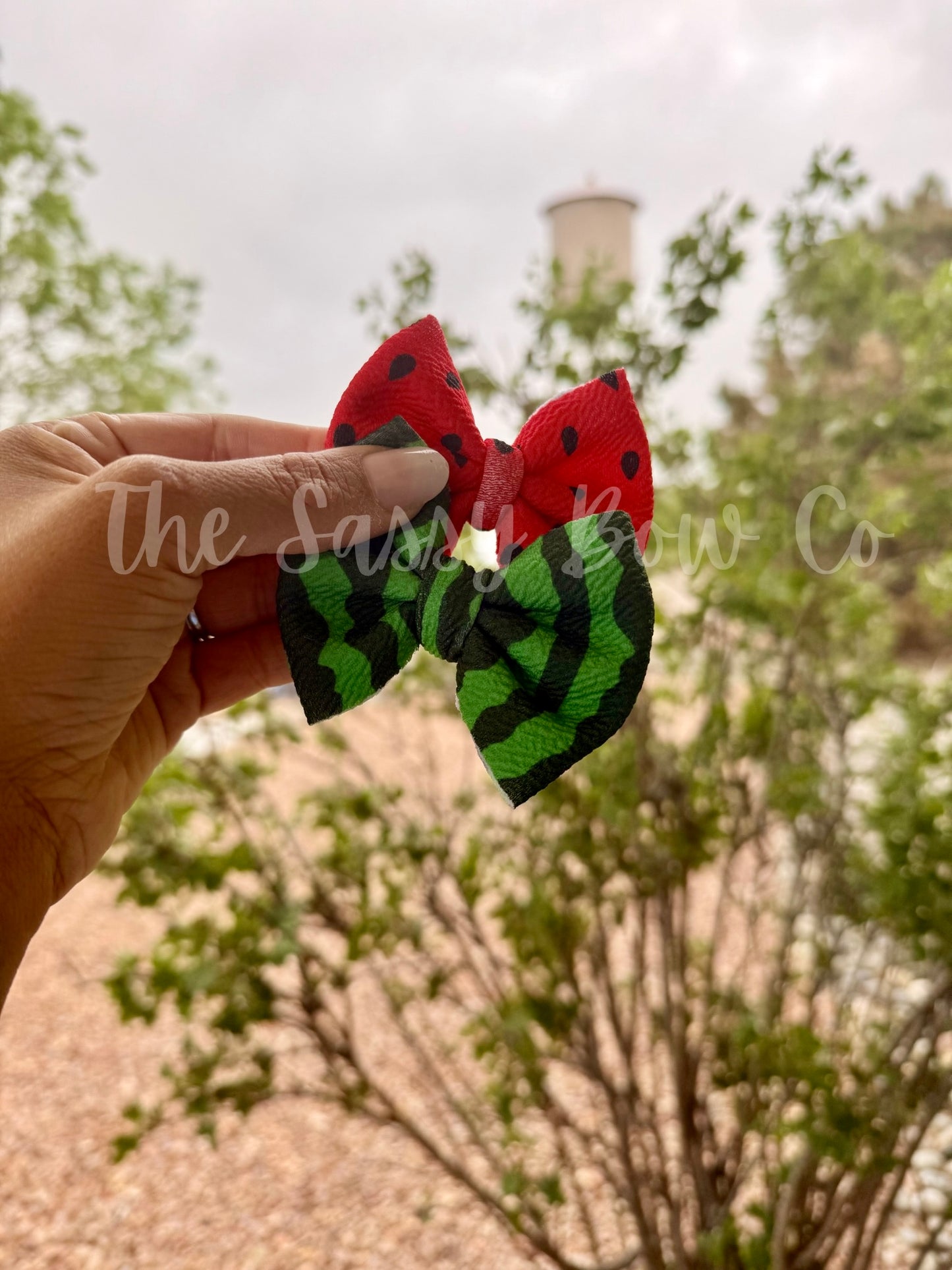 Watermelon Regular Piggies